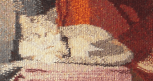 Zorra  1993 - 9 April 2014